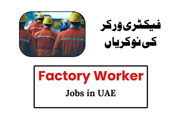 Factory Worker Jobs IN UAE